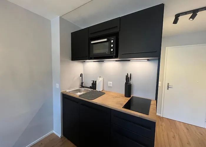 Titlis Alpine - Close To Cable Car - Nahe Der Gondel Engelberg