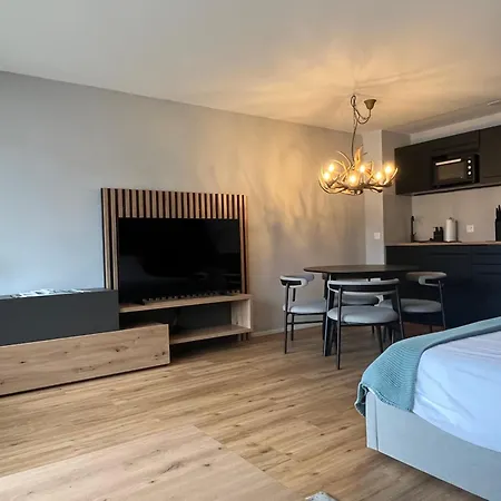 Titlis Alpine - Close To Cable Car - Nahe Der Gondel 公寓