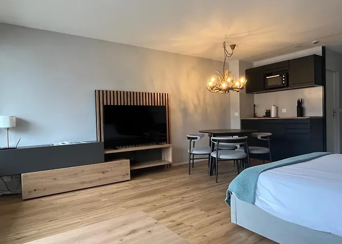 Titlis Alpine - Close To Cable Car - Nahe Der Gondel 公寓